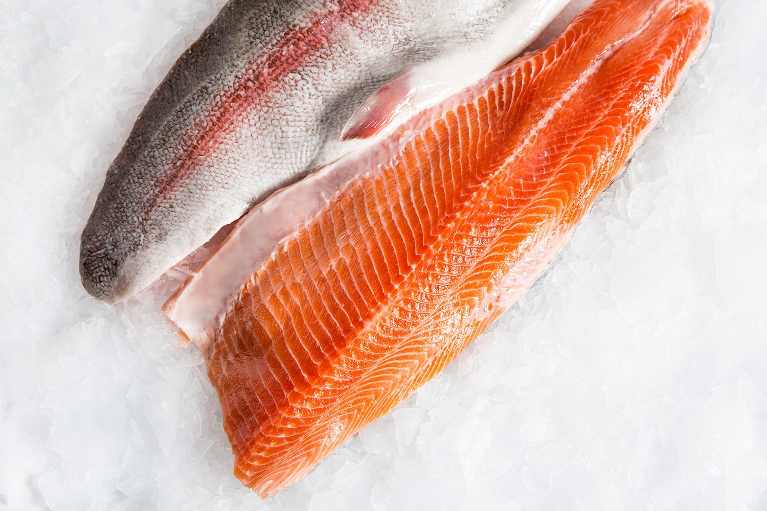 Ocean Trout Side Skin On & Boneless (900g1kg)