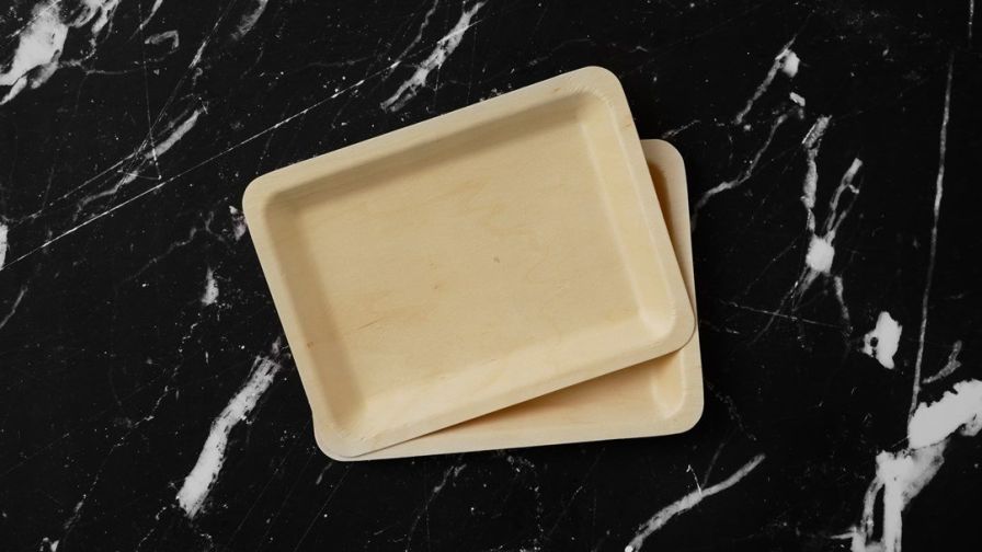Large Rectangle Bamboo Plate (10)