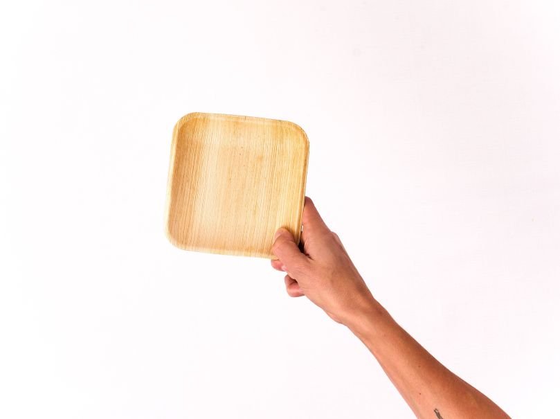 Small Square Bamboo Plates (10)
