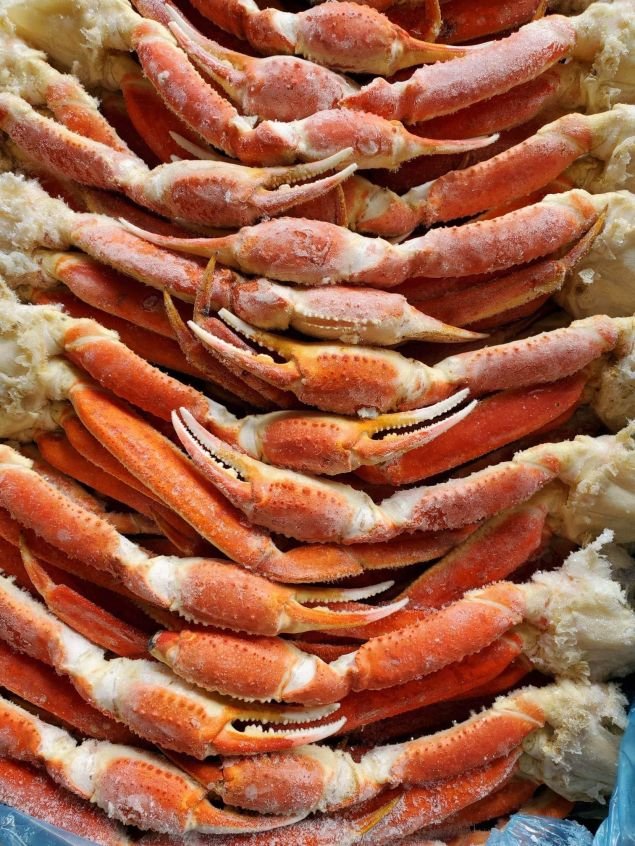 Snow Crab
