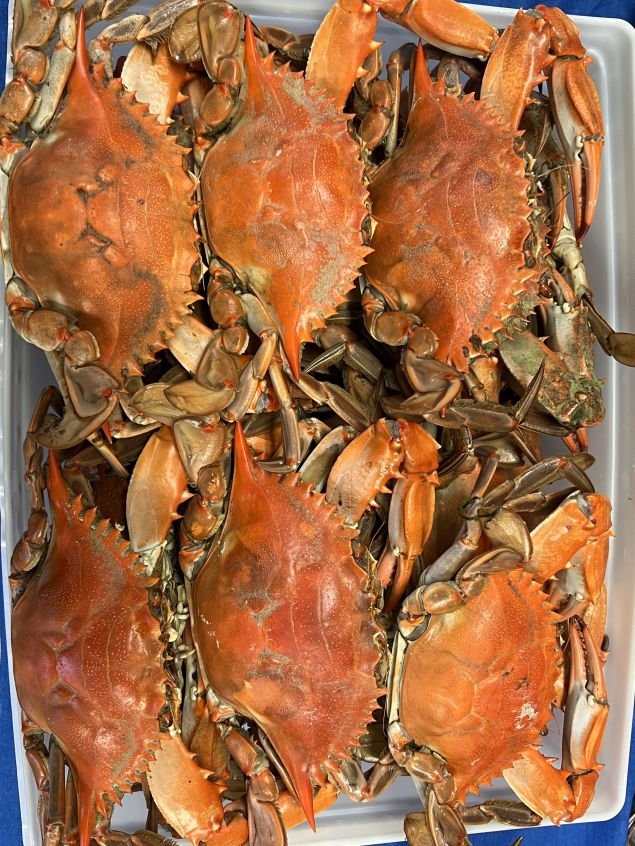 Steamed Hardshell Crabs