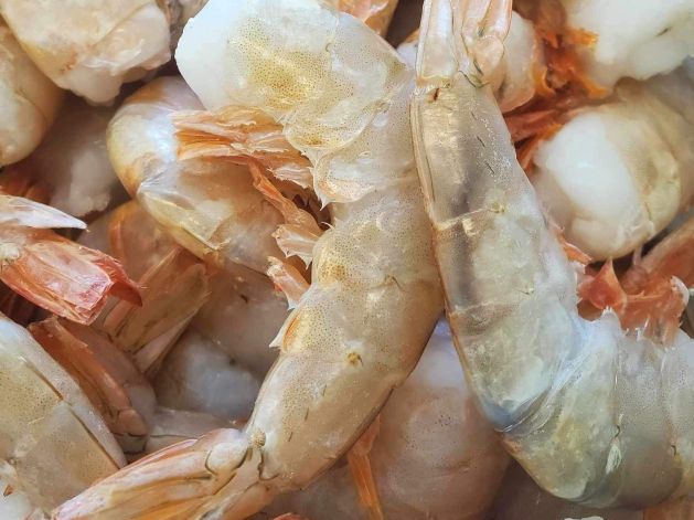 10-15 Shrimp