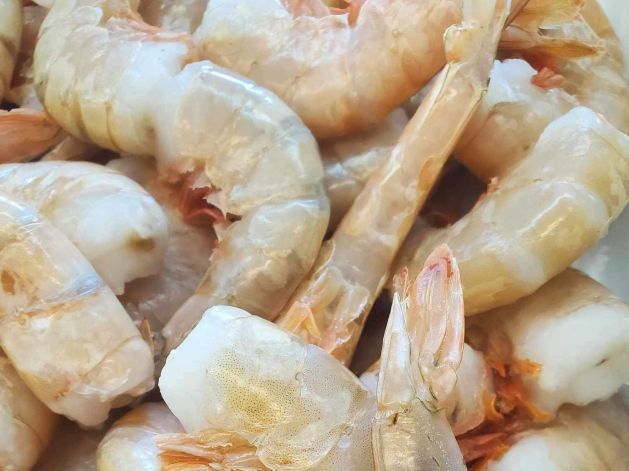 16-20 Shrimp