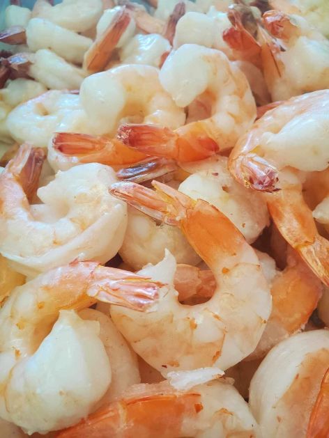 16-20 CPD Shrimp
