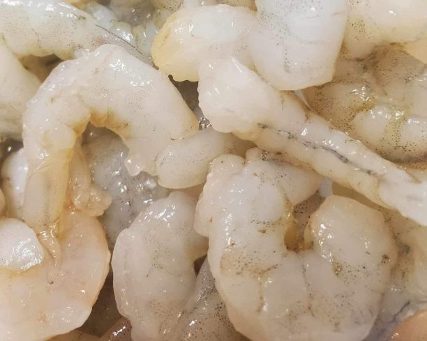 16-20 RPD Shrimp