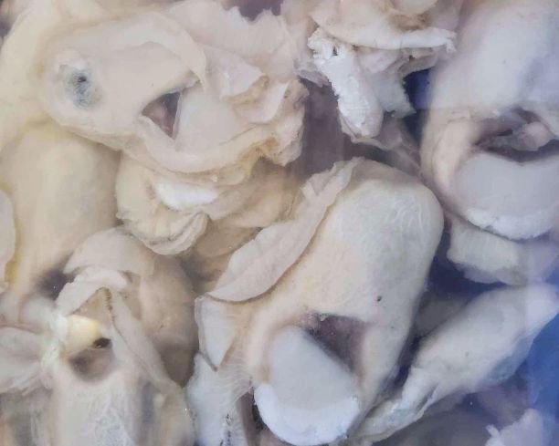 Frying Oysters