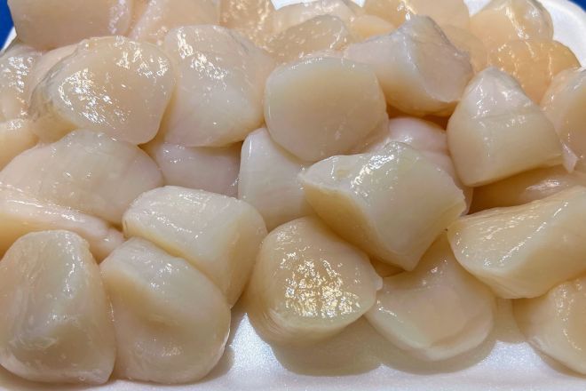 Scallops