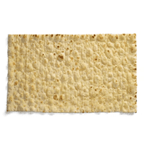 Toasted Wrap