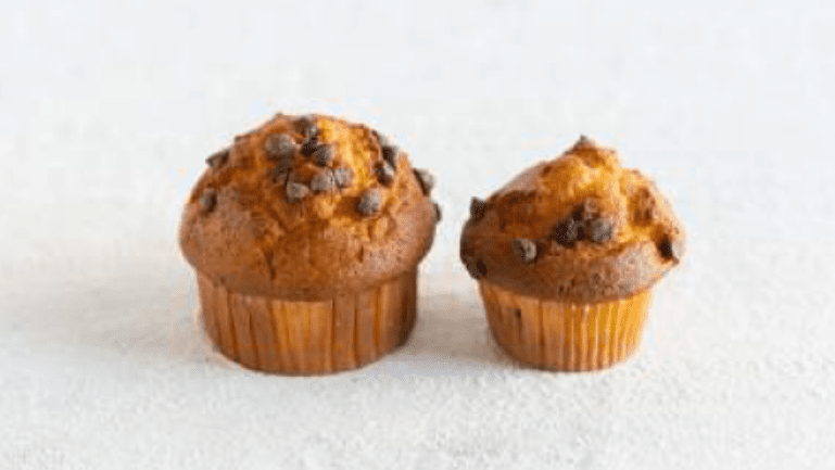 Chocolate Muffin