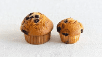 Blueberry Muffin