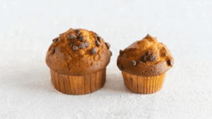 Chocolate Muffin