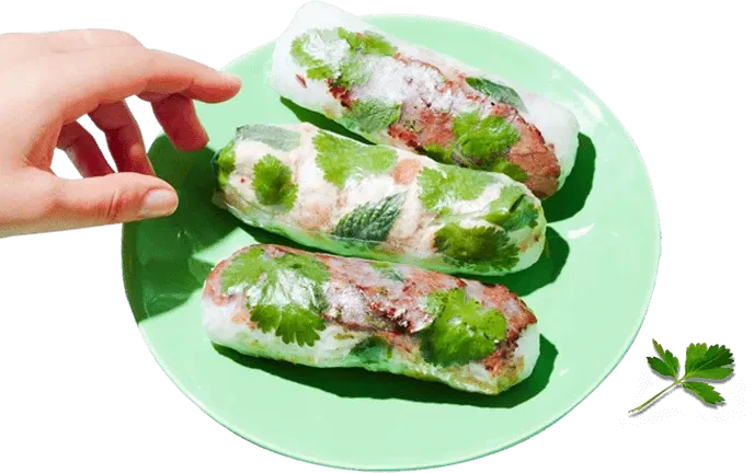 Lunch Rice Paper Rolls