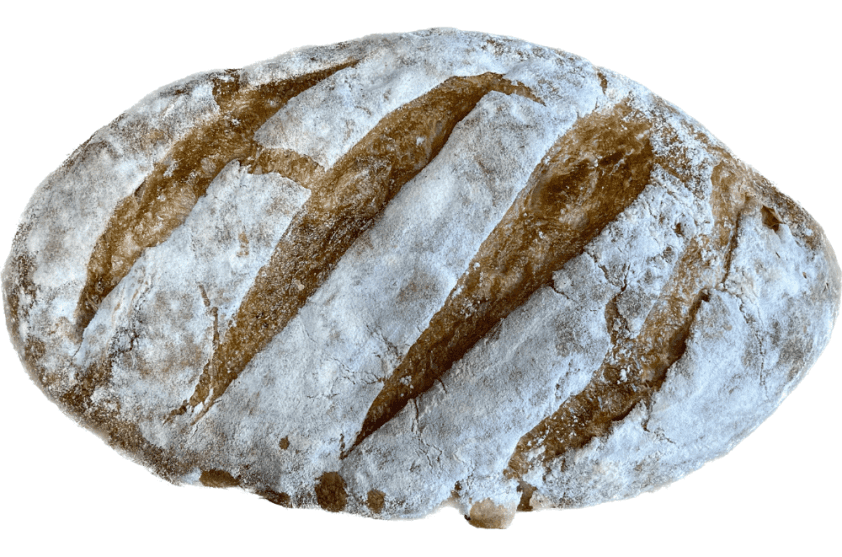 Sourdough Bread, Got Kosher Olive (Large)