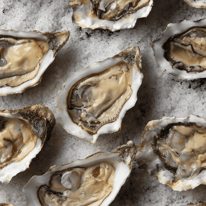 Fresh Oysters
