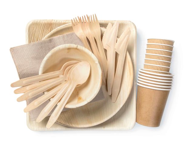 Bamboo Plates