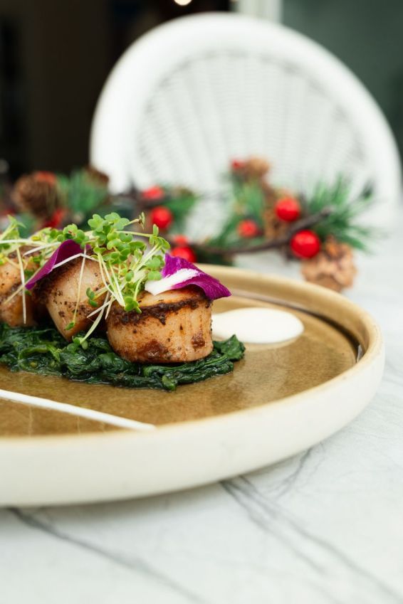 Seared Scallops / Wilted Spinach / Vanilla Bean Puree