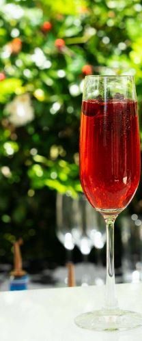 Seasonal Sorrel Bellini $14