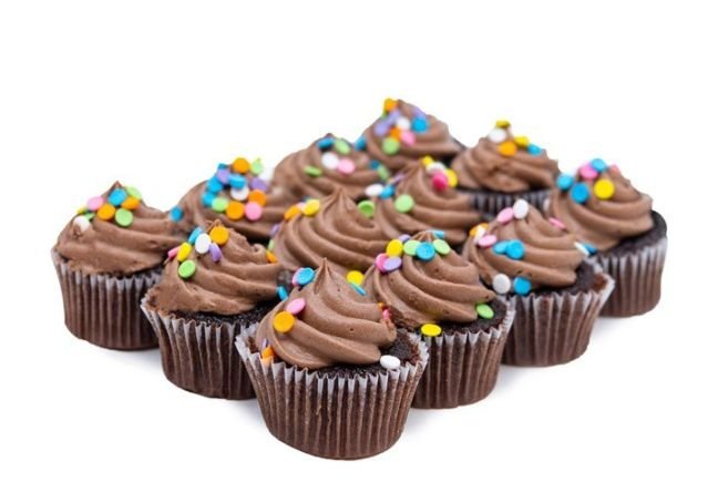 Mollie's Chocolate Sprinkle Cupcakes 12 Pack