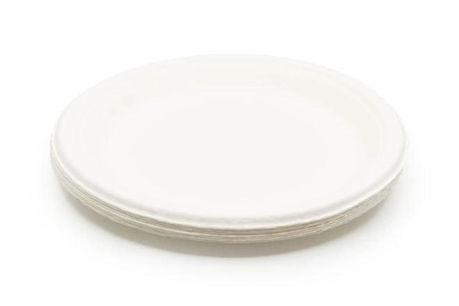 9 in Mold Fiber Plate