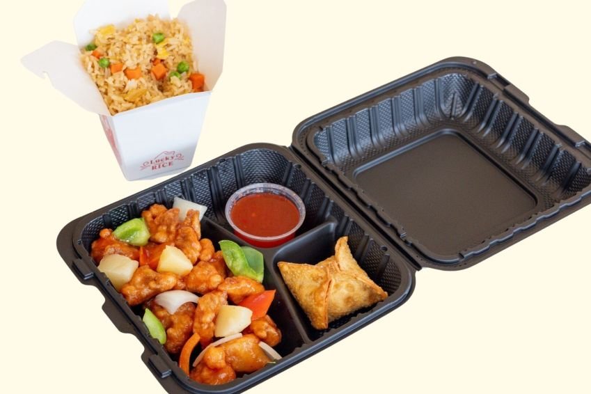 Tso Lunch Box - Sweet and Sour Chicken